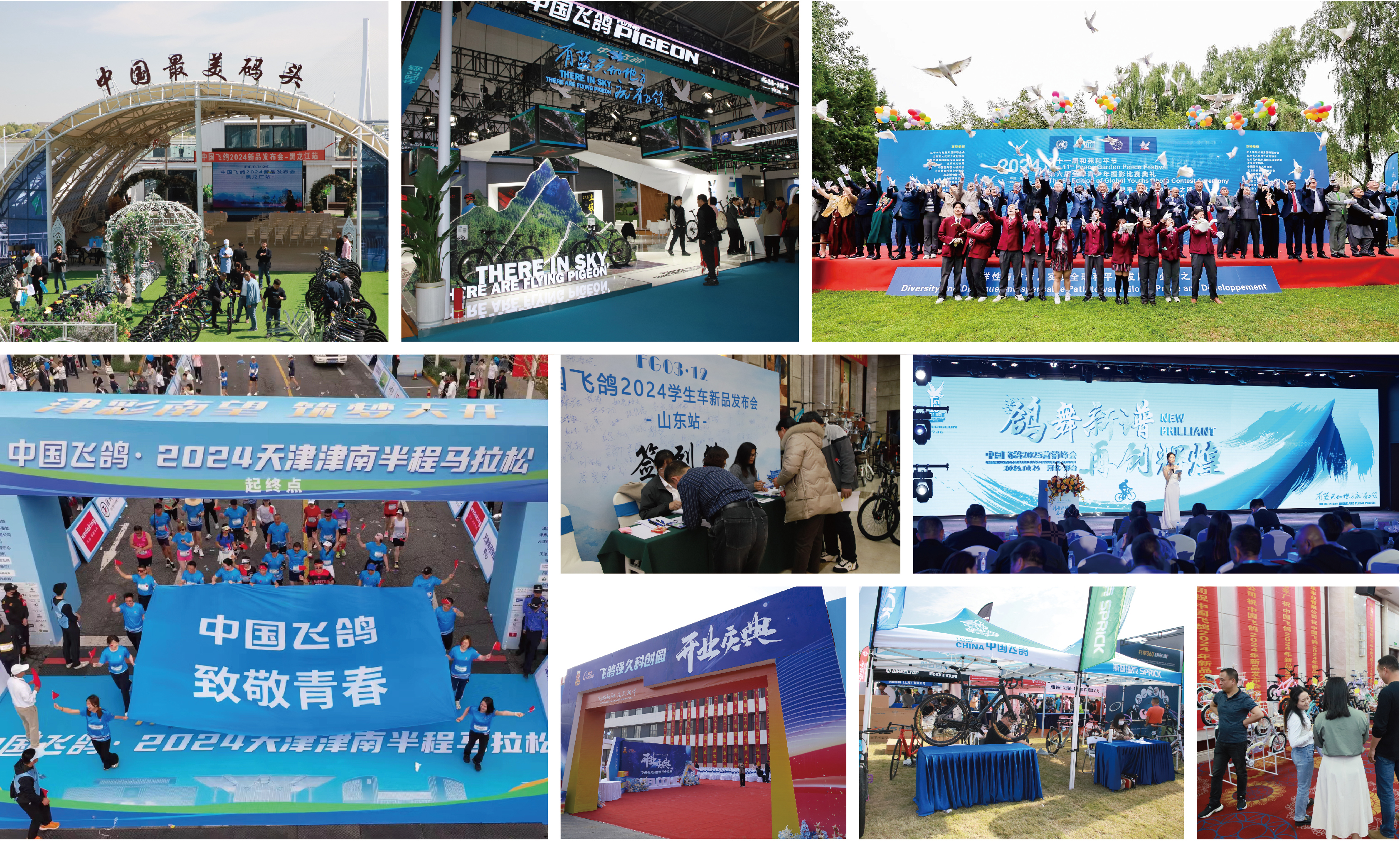 活动合集 活动合集