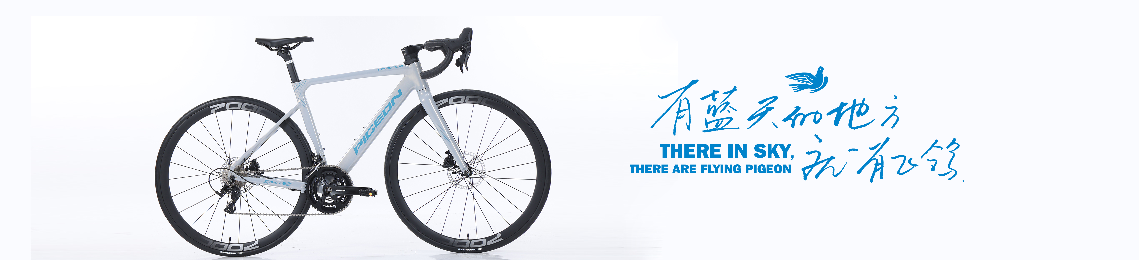 微信公众号底图-4 微信公众号底图-4